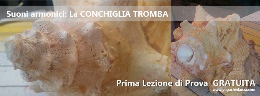 FB_CONCHIGLIA TROMBA 2016