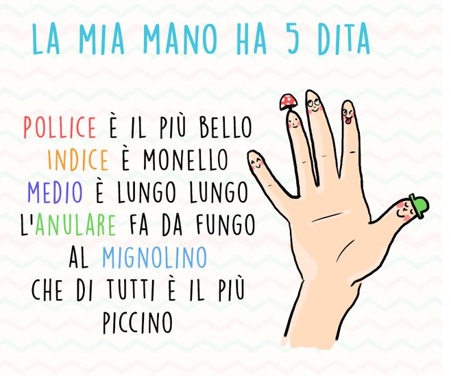 la mia mano ha 5 dita