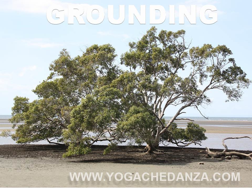 grounding nello yoga